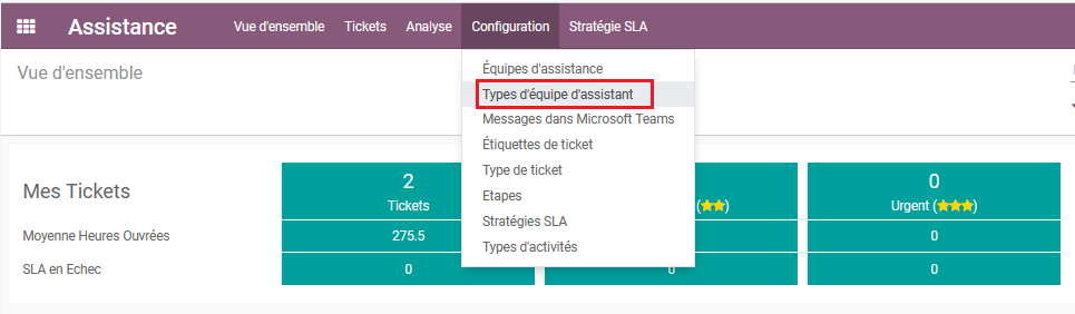 Type d'équipe d'assistant
